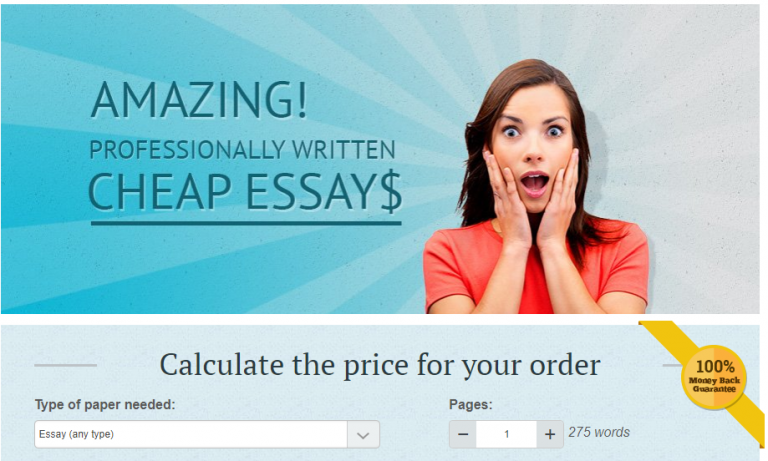 Easyessay us review picture